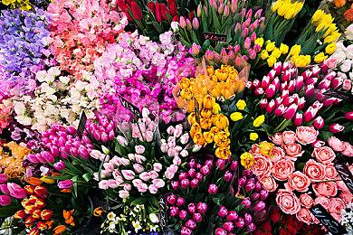 索尼PlayStation下一次发布会或将于6月初举行